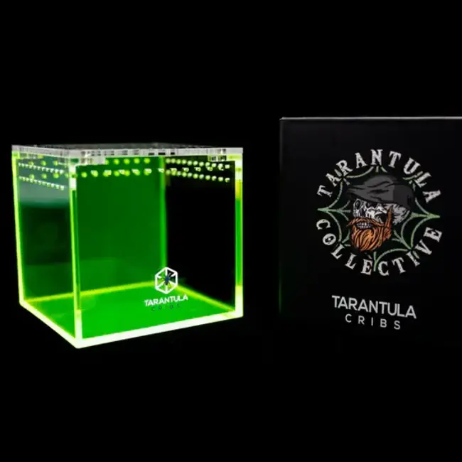 Tarantula Cribs 3" Cube Tarantula Collective Special Edition Tarantula Cribs