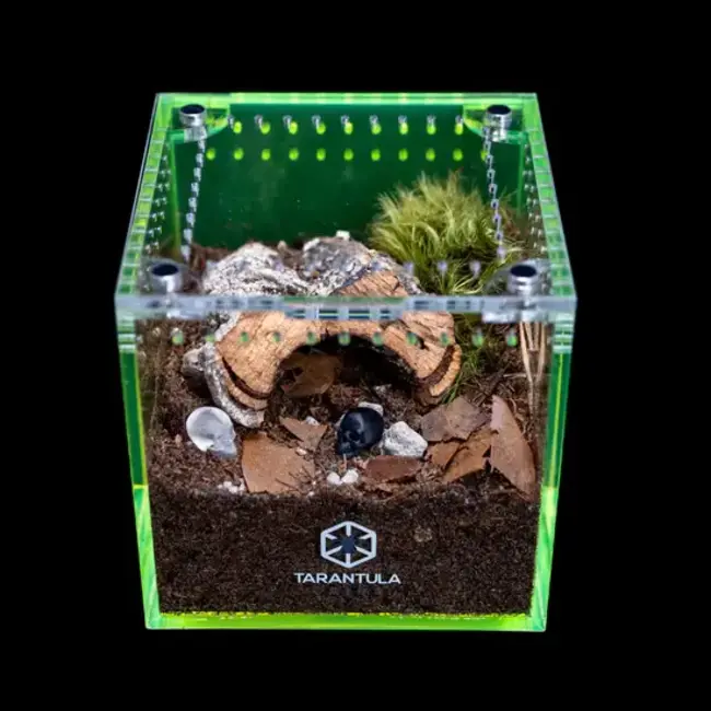 Tarantula Cribs 3" Cube Tarantula Collective Special Edition Tarantula Cribs