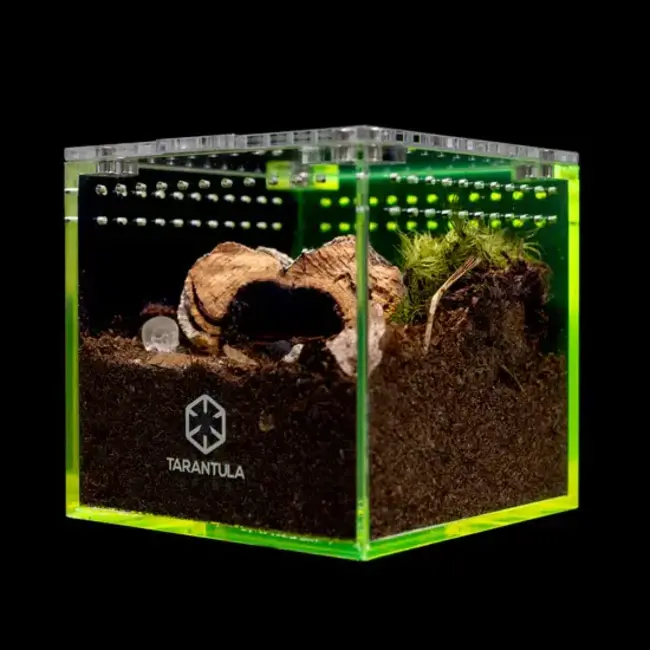 Tarantula Cribs 3" Cube Tarantula Collective Special Edition Tarantula Cribs