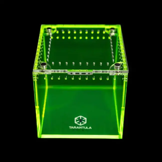 3" Cube Tarantula Collective Special Edition Tarantula Cribs