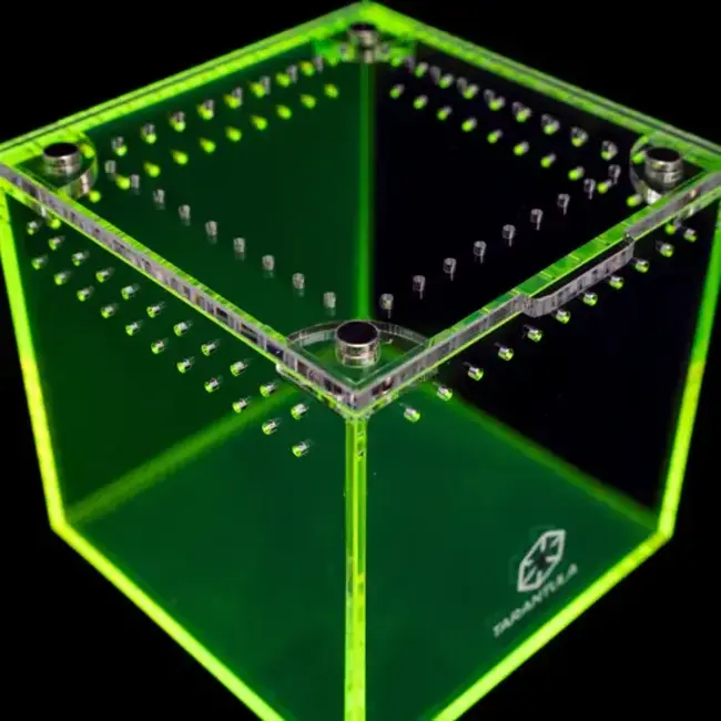 3" Cube Tarantula Collective Special Edition Tarantula Cribs