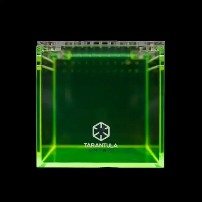 Tarantula Cribs 3" Cube Tarantula Collective Special Edition Tarantula Cribs