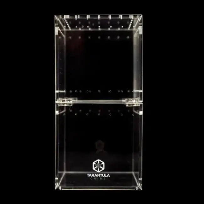 Tarantula Cribs Understory 3x3x6" Flat Top Tarantula Cribs
