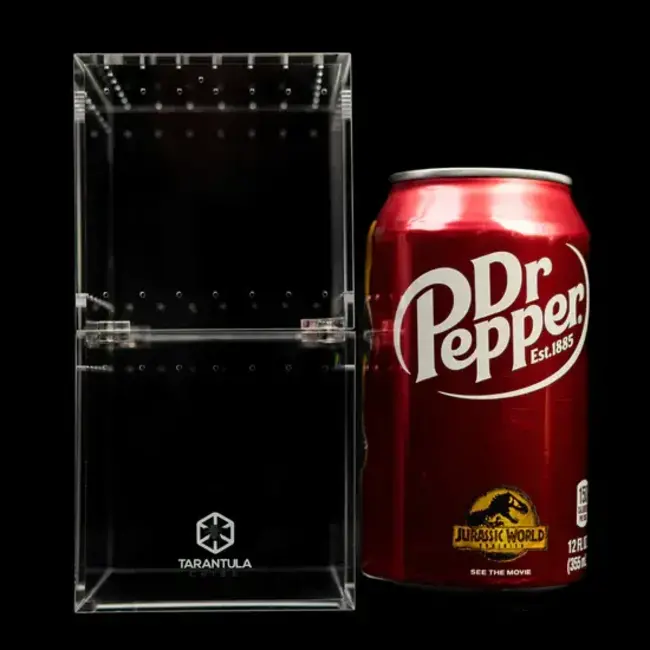 Tarantula Cribs Understory 3x3x6" Flat Top Tarantula Cribs