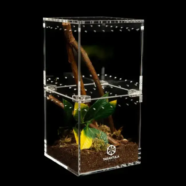 Tarantula Cribs Understory 3x3x6" Flat Top Tarantula Cribs
