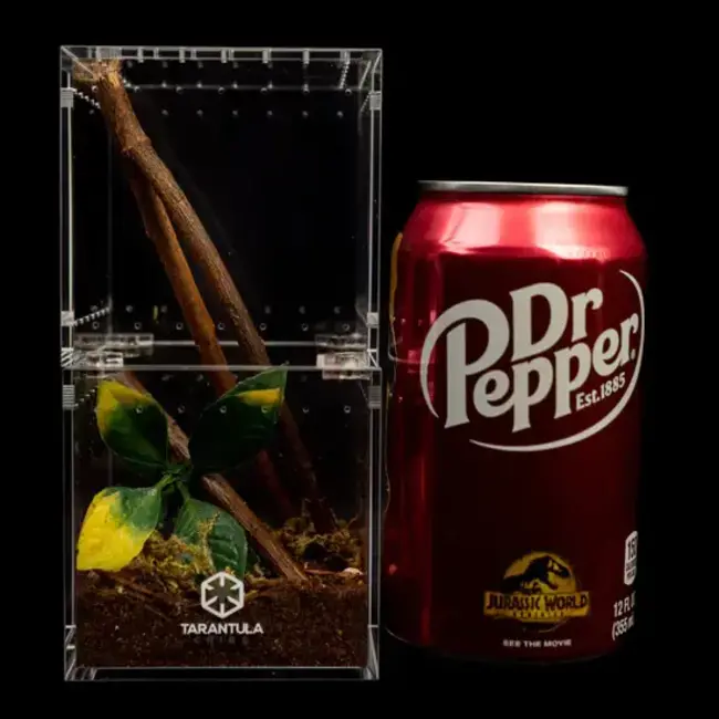 Tarantula Cribs Understory 3x3x6" Flat Top Tarantula Cribs