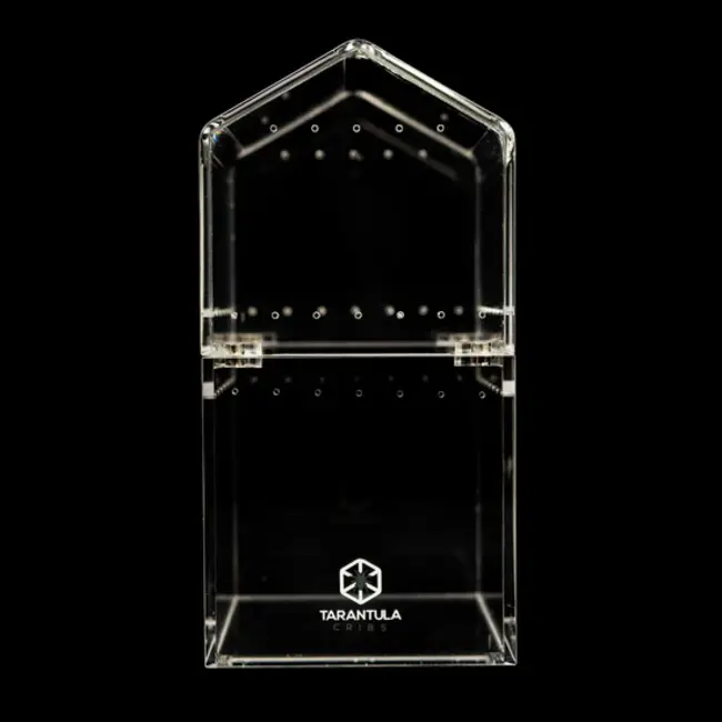 Understory 3x3x6" Canopy Top Tarantula Cribs