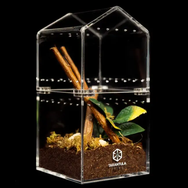 Understory 3x3x6" Canopy Top Tarantula Cribs