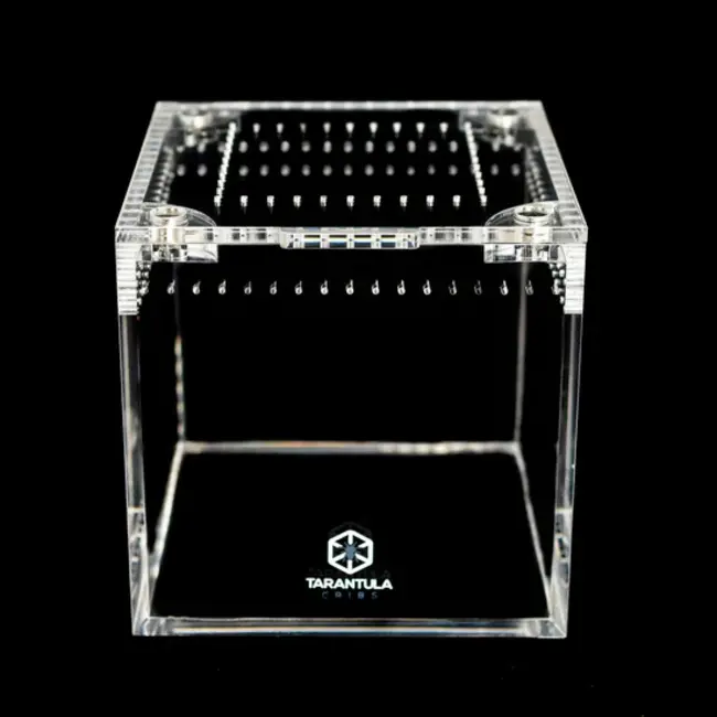 4" Cube Tarantula Cribs