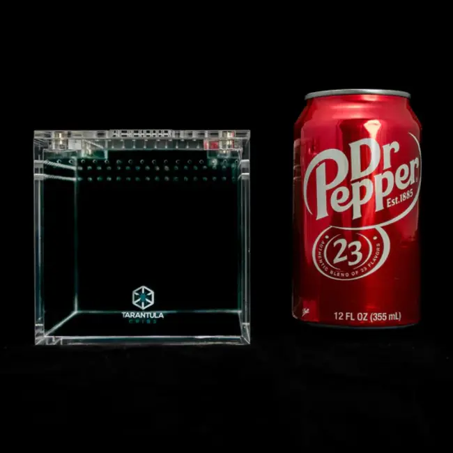 Tarantula Cribs 4" Cube Tarantula Cribs