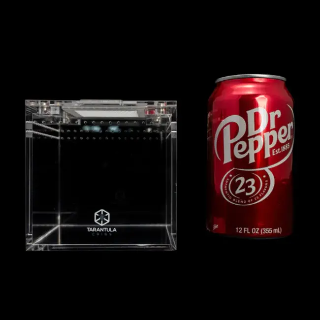 Tarantula Cribs 4" Cube Tarantula Cribs