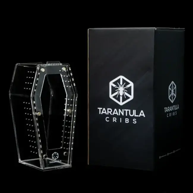 Coffin Crib Mini 3x3x6" Tarantula Cribs