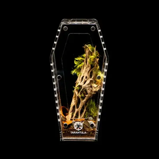Coffin Crib Mini 3x3x6" Tarantula Cribs
