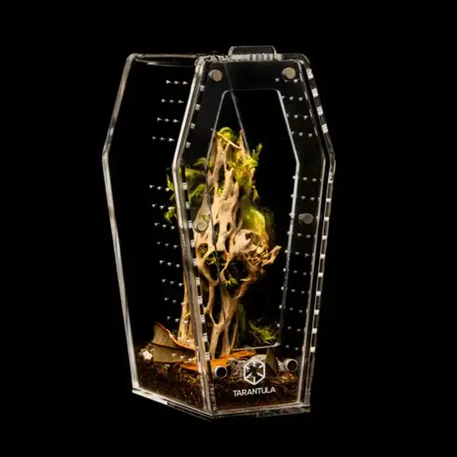 Coffin Crib Mini 3x3x6" Tarantula Cribs