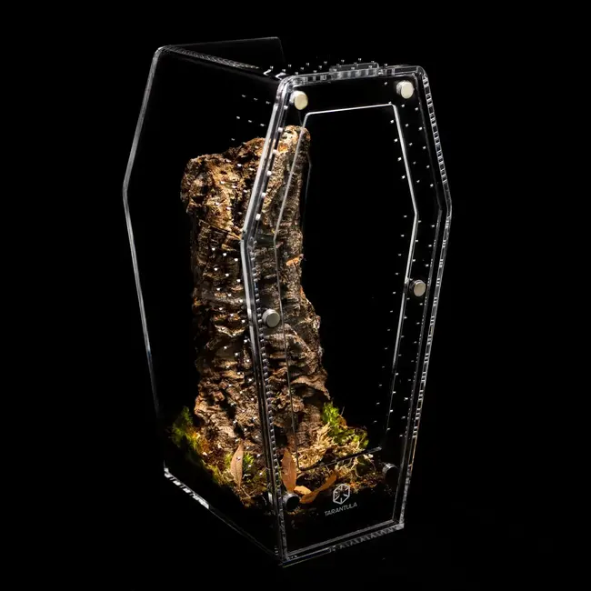 Coffin Crib Large 7x7x14" Tarantula Cribs