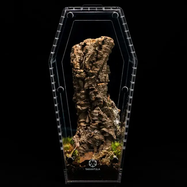 Coffin Crib Large 7x7x14" Tarantula Cribs