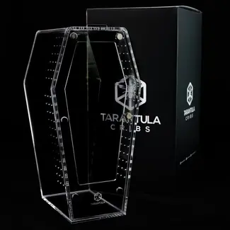 Tarantula Cribs Coffin Crib Large 7x7x14" Tarantula Cribs