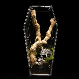 Tarantula Cribs Coffin Crib Medium 5x5x10" Tarantula Cribs