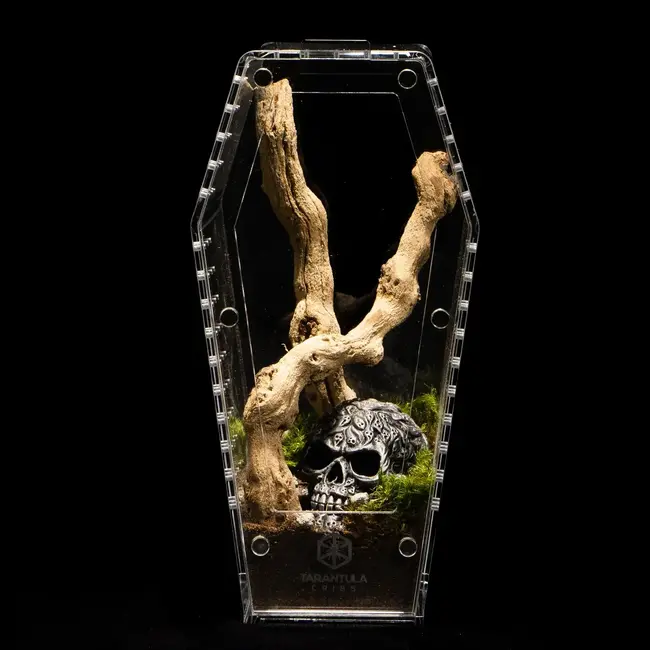Coffin Crib Medium 5x5x10" Tarantula Cribs