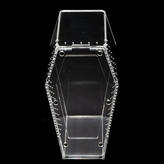 Tarantula Cribs Coffin Crib Medium 5x5x10" Tarantula Cribs