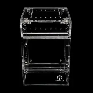 Tarantula Cribs Small Treehouse Switch 2.0 4x4x6"