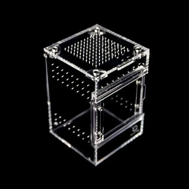 Tarantula Cribs Small Treehouse Switch 2.0 4x4x6"