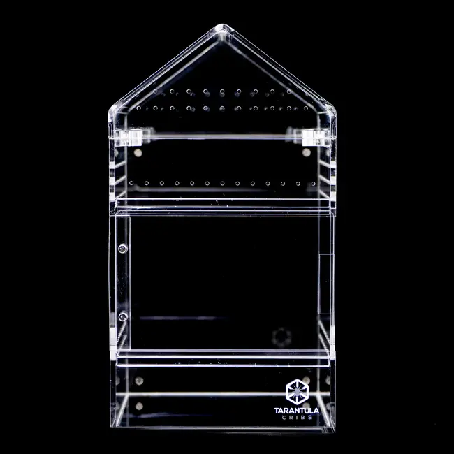 Large Treehouse Switch 2.0 8x8x12" Tarantula Cribs