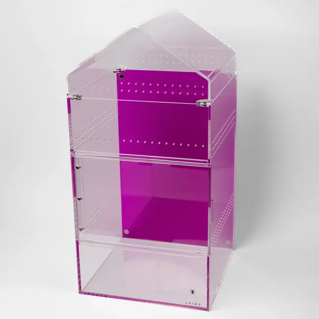 Large Treehouse Switch 2.0 8x8x12" Tarantula Cribs