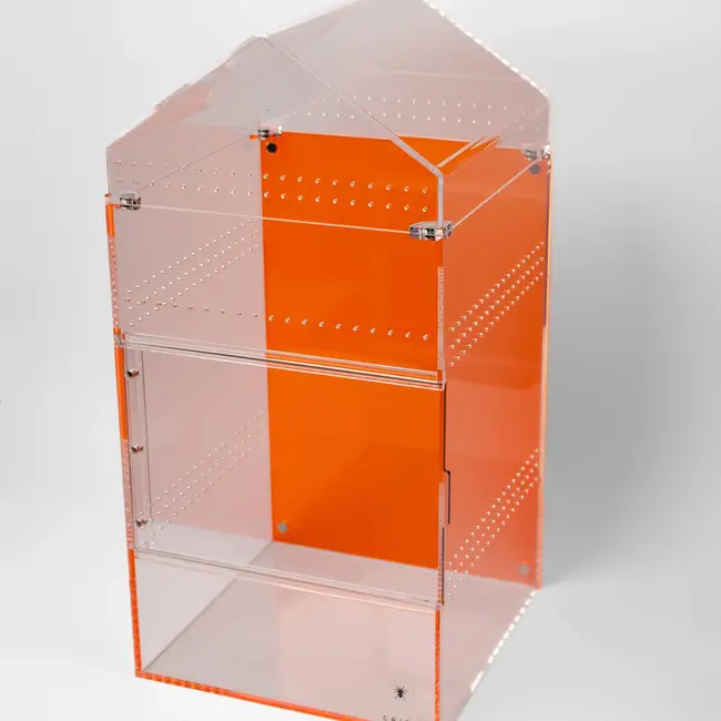 Large Treehouse Switch 2.0 8x8x12" Tarantula Cribs