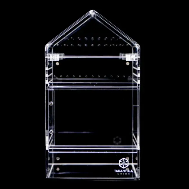 Medium Treehouse Switch 2.0 6x6x8" Tarantula Cribs