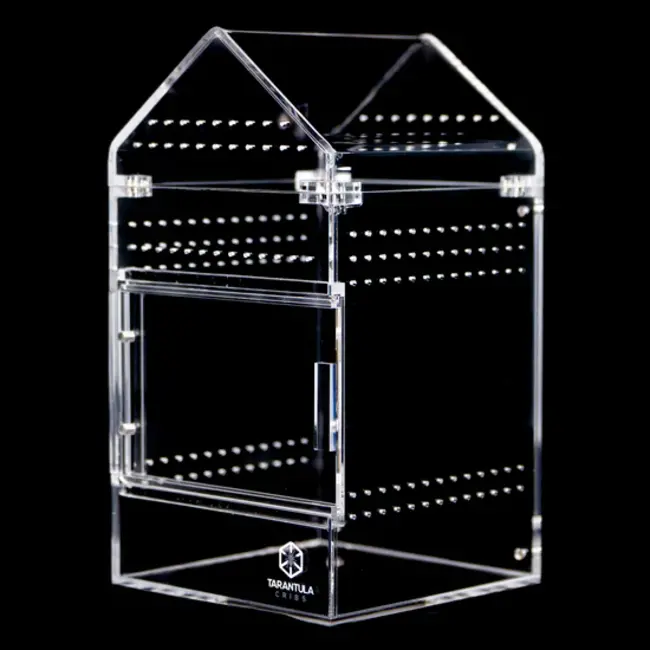 Medium Treehouse Switch 2.0 6x6x8" Tarantula Cribs