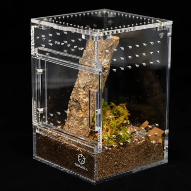 Medium Treehouse Switch 2.0 6x6x8" Tarantula Cribs