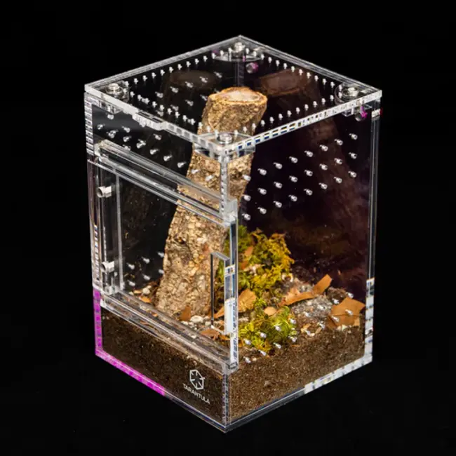 Medium Treehouse Switch 2.0 6x6x8" Tarantula Cribs