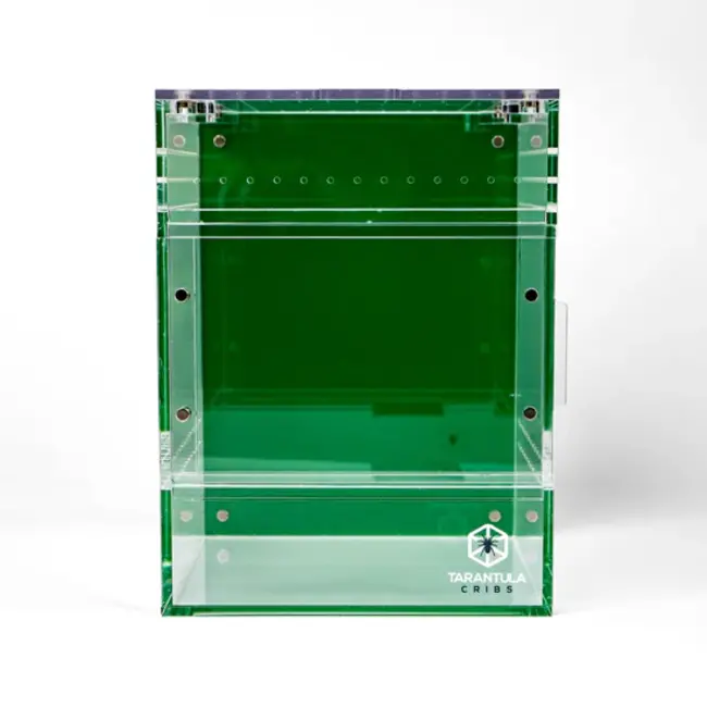 Medium Treehouse Switch 2.0 6x6x8" Tarantula Cribs