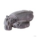 Exo Terra Exo Terra Turtle Island - Hippo