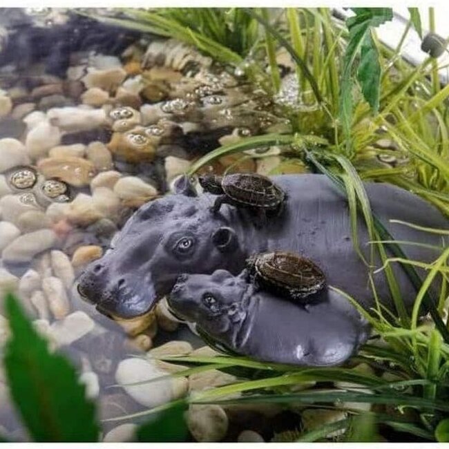 Exo Terra Turtle Island - Hippo