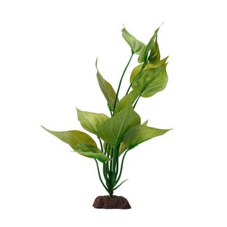 Fluval Varigated Lizard's Tail Plant 12"