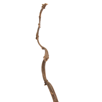 Monkey Vine 3 foot length - single