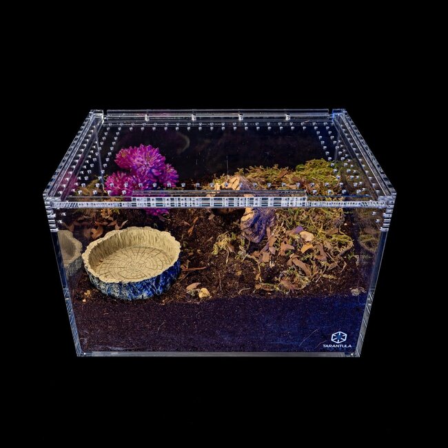 Tarantula Cribs Large Slider Crib Pro 12" x 8" x 8" Tarantula Cribs