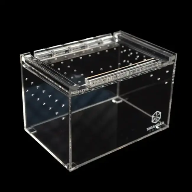 Small Slider Crib Pro  6" x 4" x 4" Tarantula Cribs