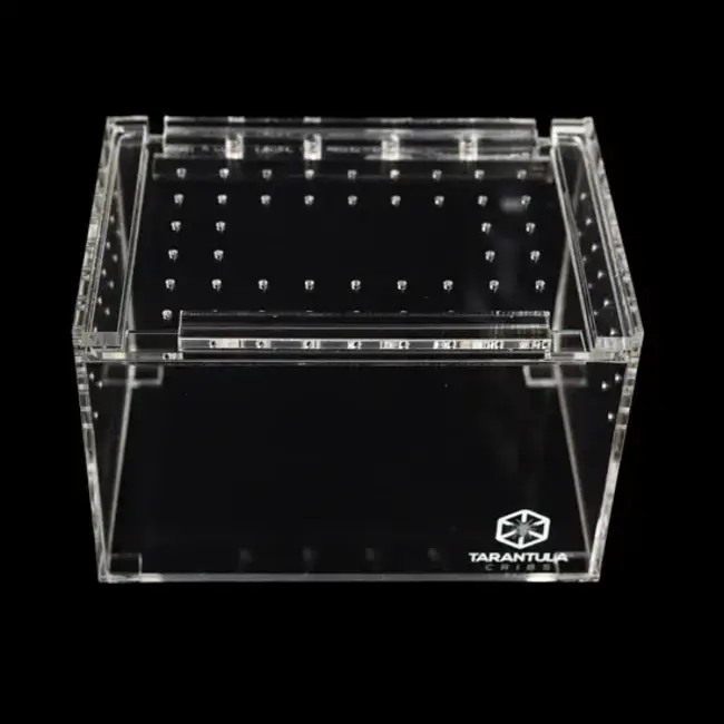 Small Slider Crib Pro  6" x 4" x 4" Tarantula Cribs