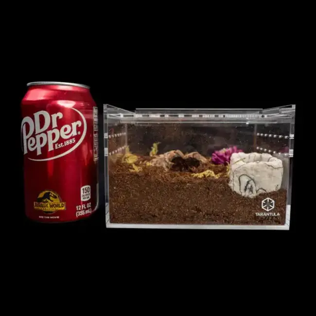 Tarantula Cribs Small Slider Crib Pro  6" x 4" x 4" Tarantula Cribs