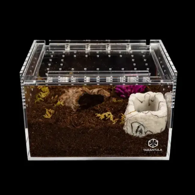 Small Slider Crib Pro  6" x 4" x 4" Tarantula Cribs