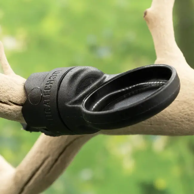 Pangea Pangea MicroDish - Branch Mount Kit - Gecko Feeding Dish - Small