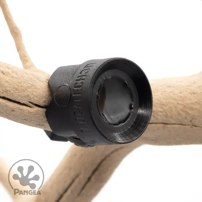 Pangea Pangea MicroDish - Branch Mount Kit - Gecko Feeding Dish - Small