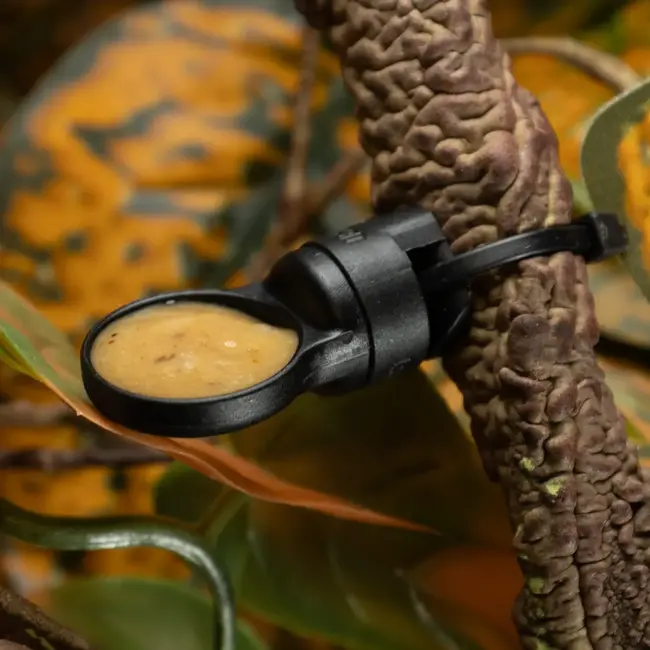 Pangea Pangea MicroDish - Branch Mount Kit - Gecko Feeding Dish - Small