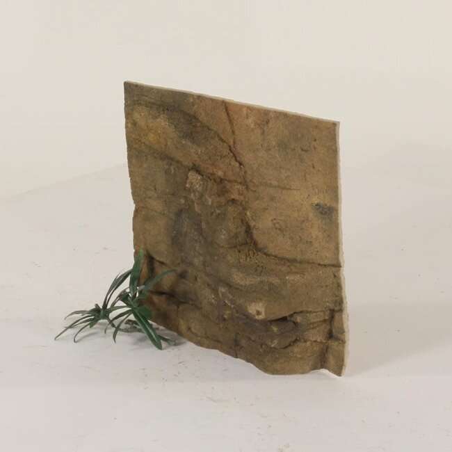 Universal Rocks Universal Rocks 12" x 12" Background Zoo Med