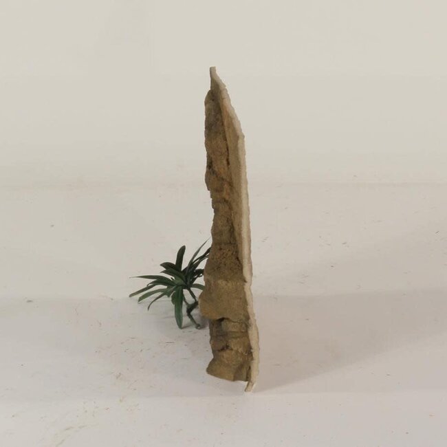 Universal Rocks Universal Rocks 12" x 12" Background Zoo Med