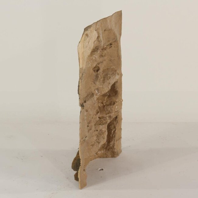 Universal Rocks Universal Rocks 18" x 24" Background Zoo Med