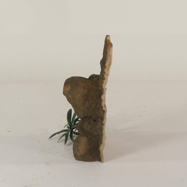 Universal Rocks 8" x 12" Background Zoo Med